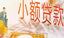 成都新津区民间小额借贷-成都新津区身份证贷款电话-成都新津区大学生信用贷款
