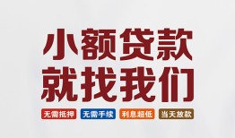 成都新津区小额短借-成都新津区私人借贷平台-成都新津区个人借钱