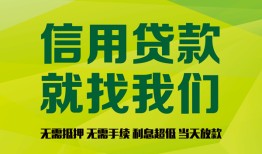 成都新津区借钱网-成都新津区贷款私人贷款-成都新津区私借空放先息后本