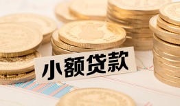 成都新津区哪里有小额贷款-成都新津区身份证贷款平台-成都新津区民间短借