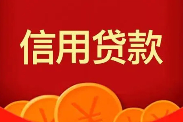 成都新津区借私借